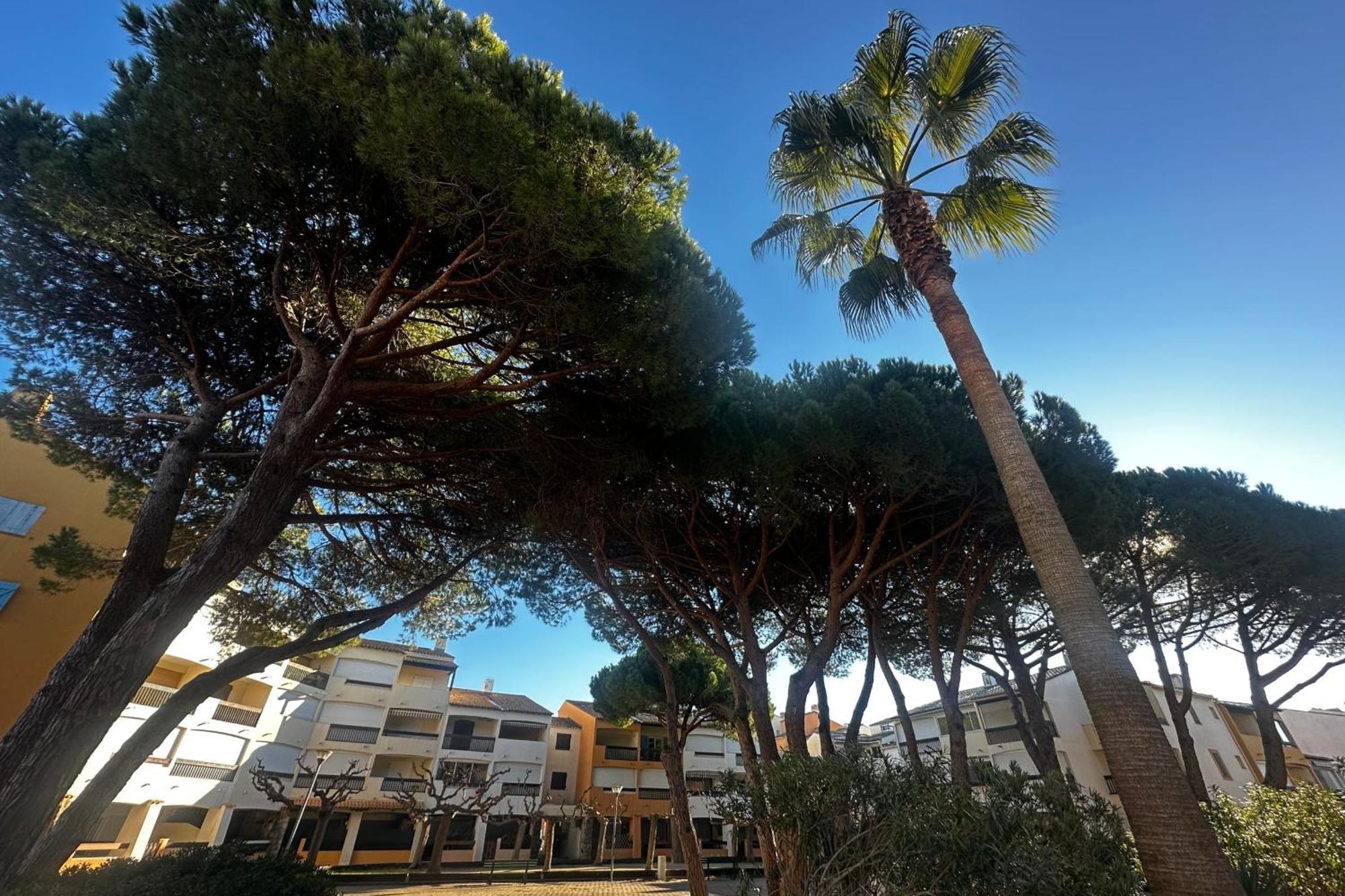 Apartment Camargue Village *