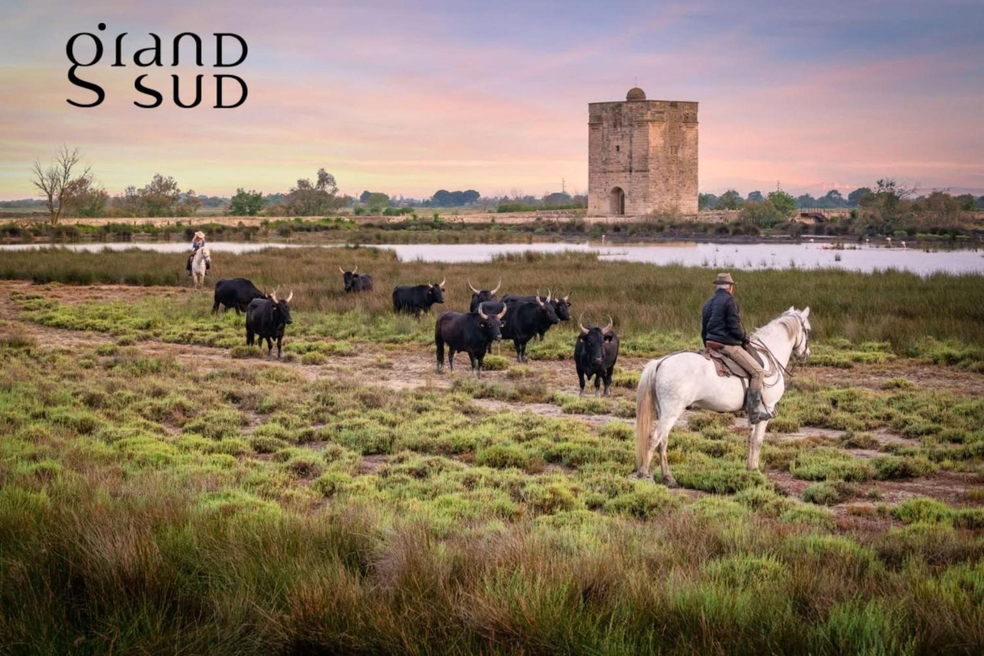Camargue Village * Le Grau-du-Roi